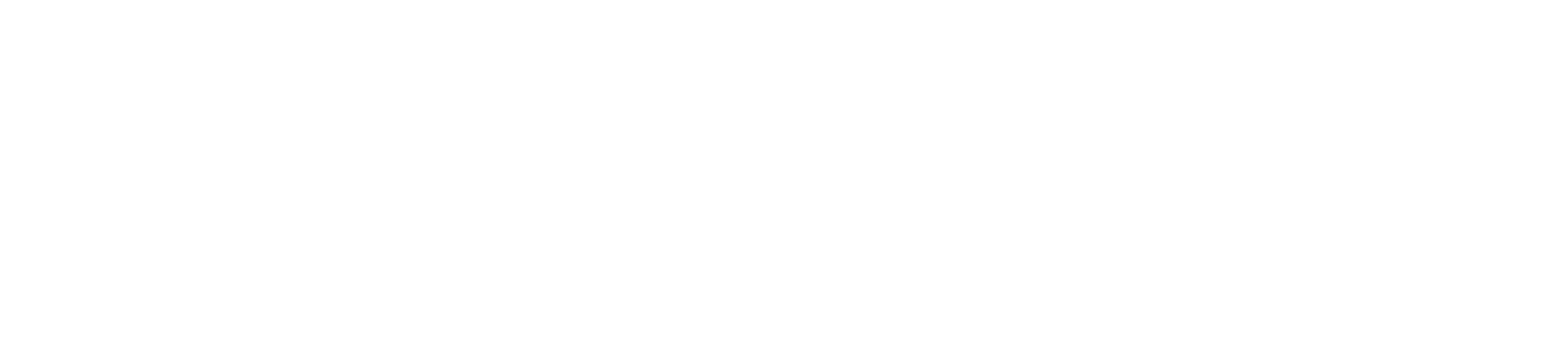 nightrelic_logo